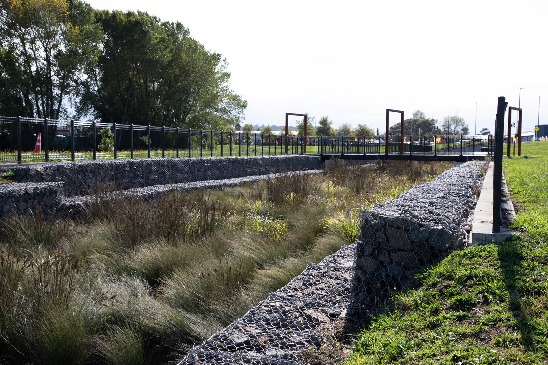 waiata-shores-stormwater-pond-182A1169.jpg