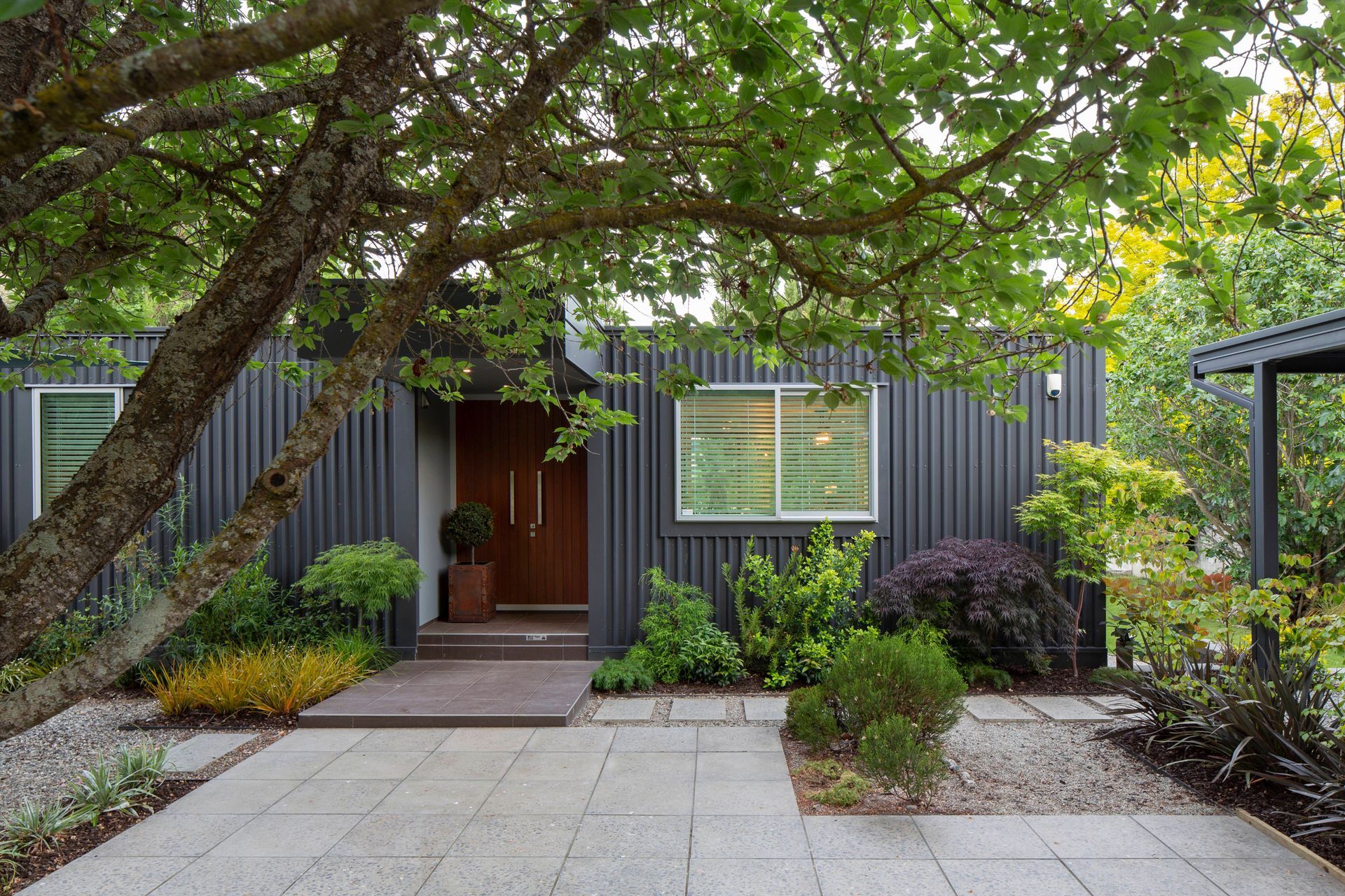 Tapley | Wanaka