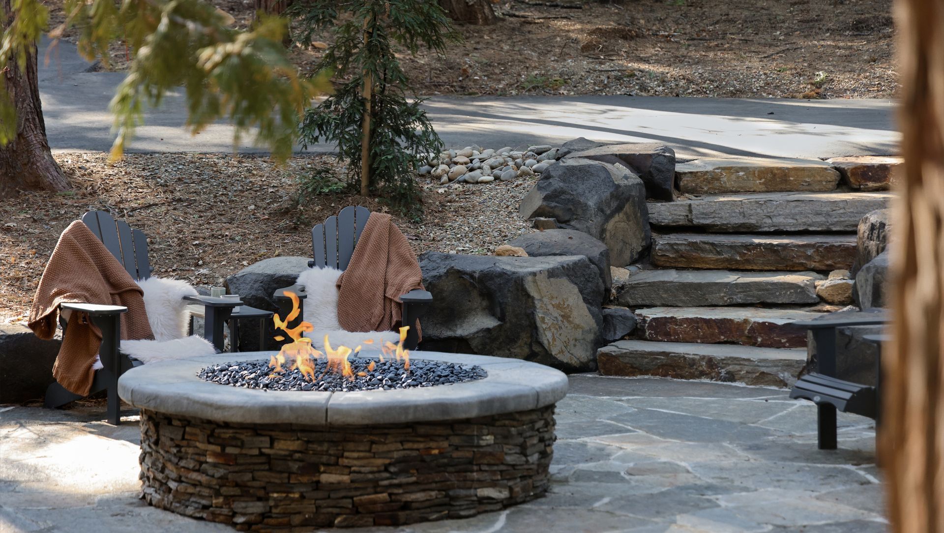 SEQUOIA WOODS banner