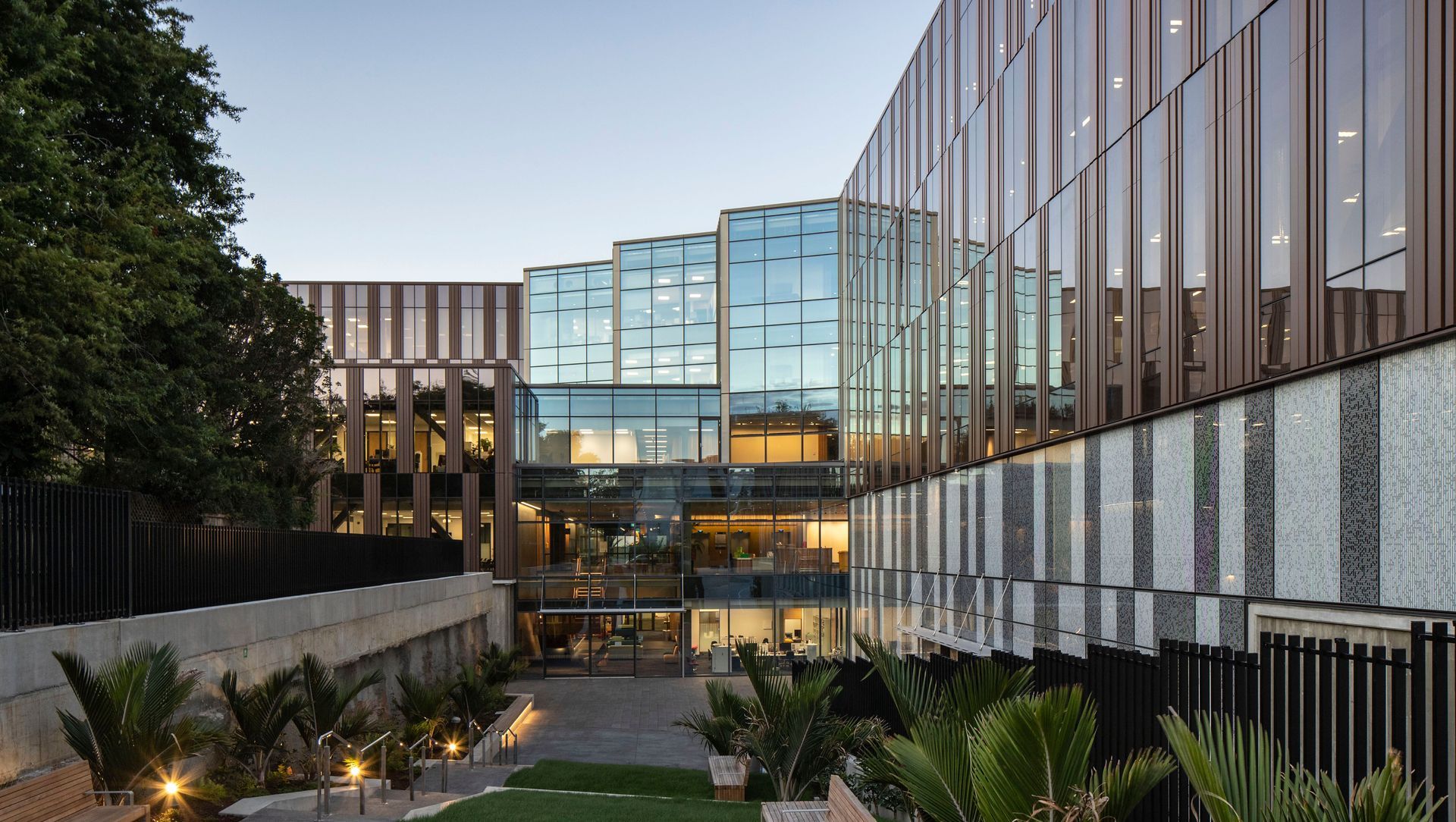 University of Auckland School of Medicine (B507) banner