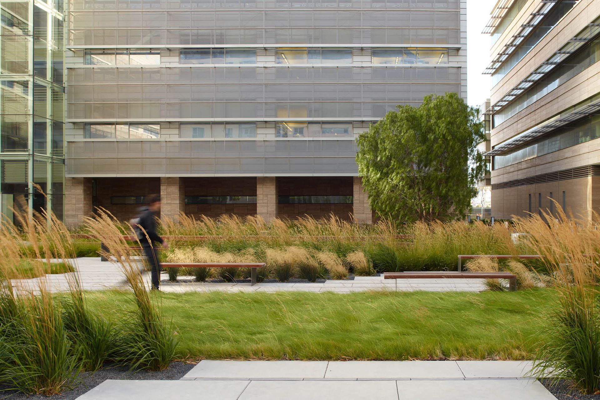 SmithCardiovascularResearchBuilding01.jpg