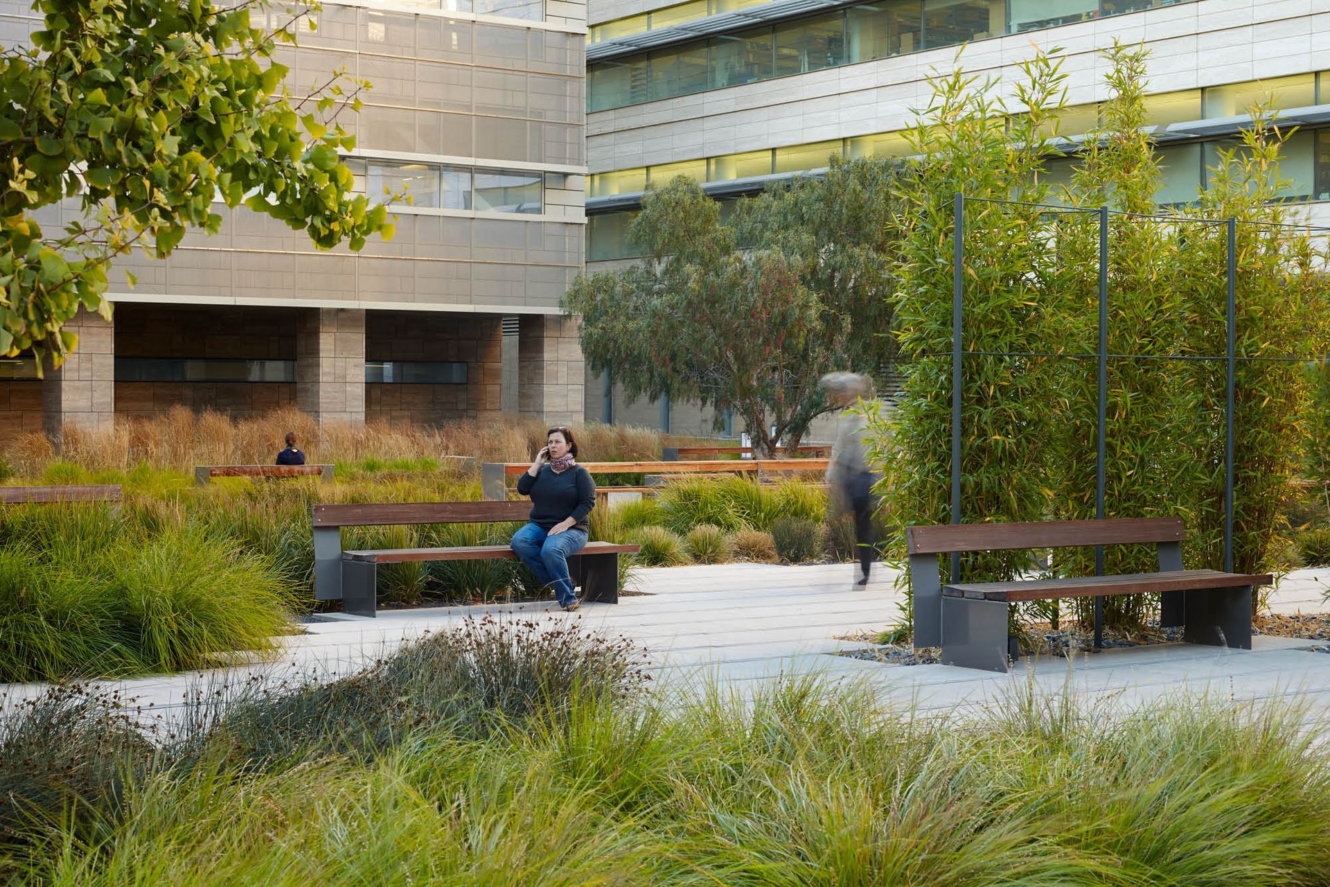 SmithCardiovascularResearchBuilding04.jpg