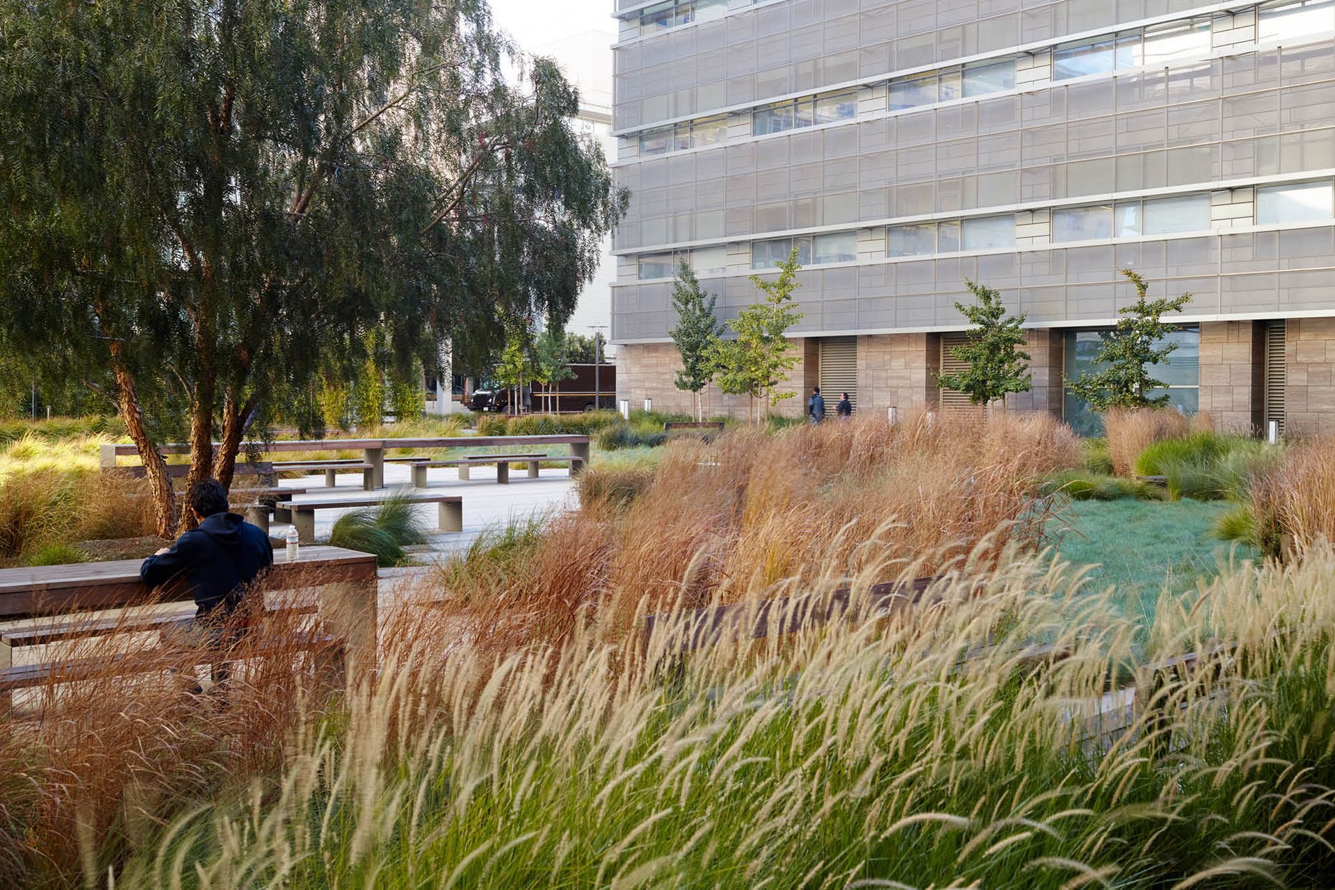 SmithCardiovascularResearchBuilding07.jpg