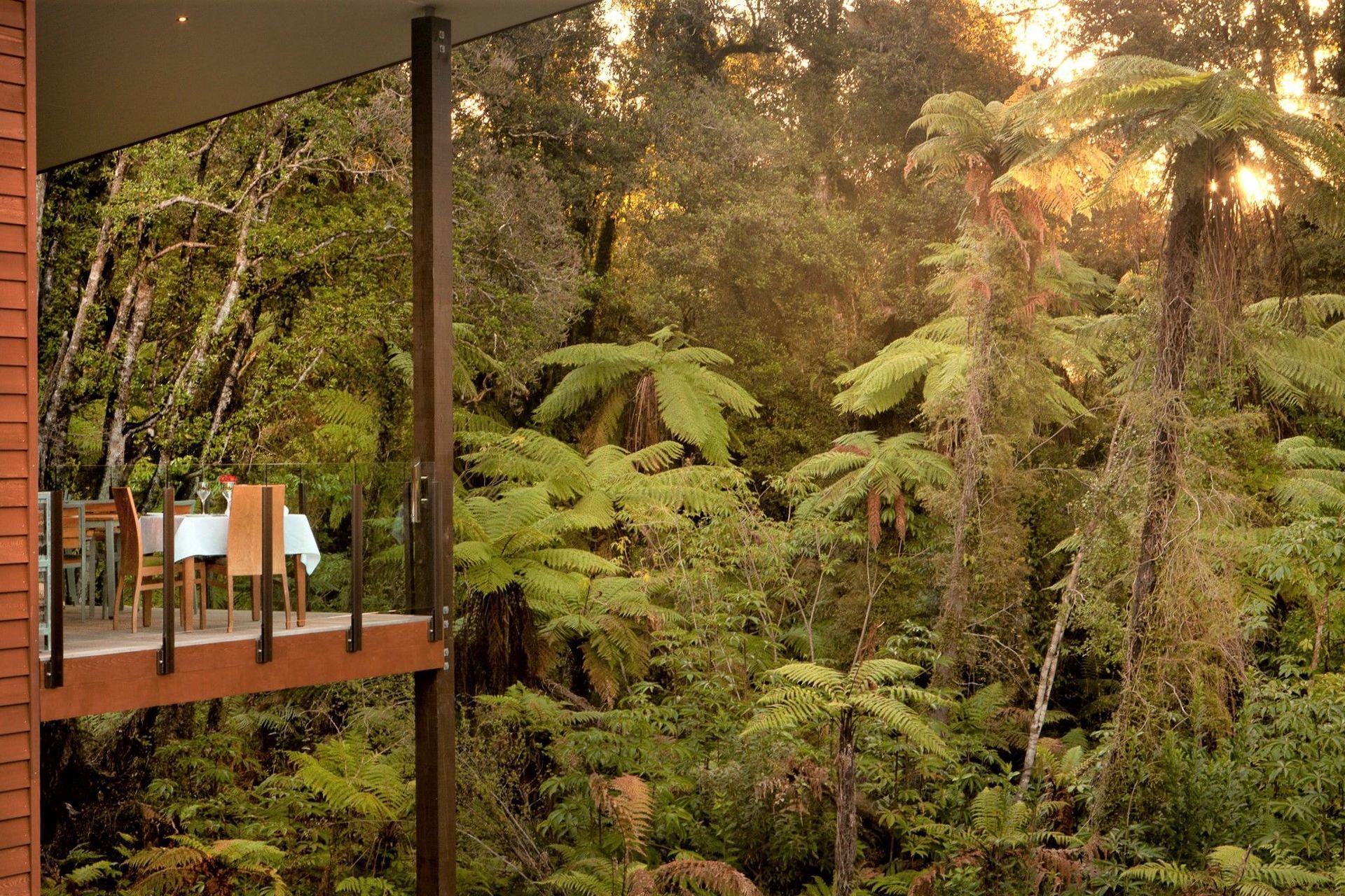 TW-Native-bush-amp-Canopy-Restaurant-4.jpg