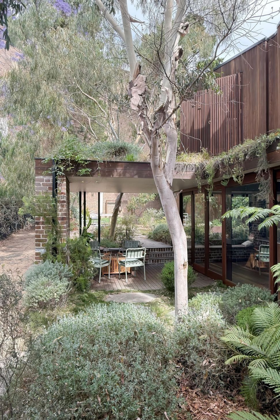 02-Matt-Day-Architect-Matt-Day-Tempe-House-Alteration-Addition-Timber-Courtyard-Garden-Covered-Outdoor-Dining-Area.jpeg