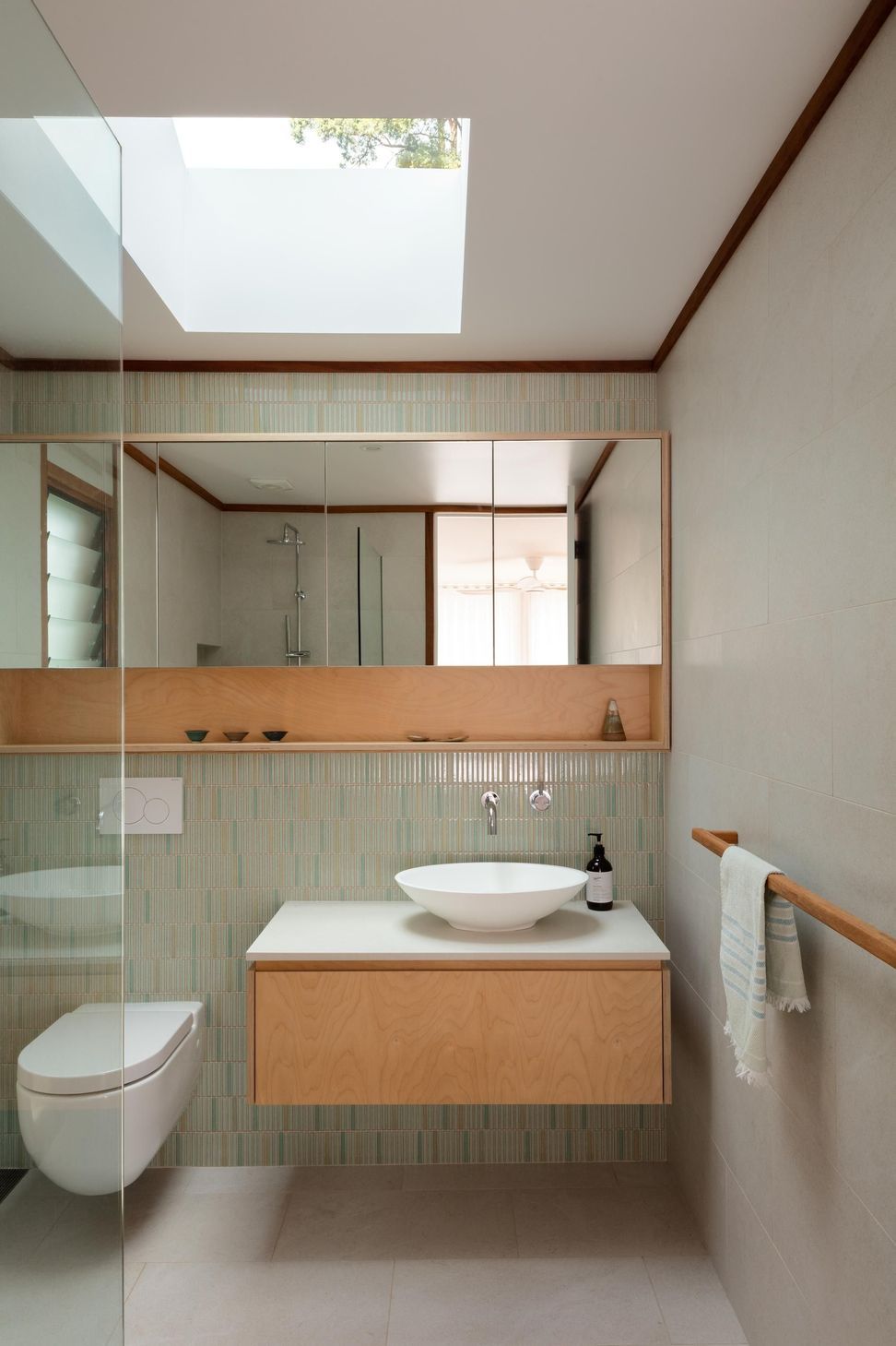 10-Matt-Day-Architect-Matt-Day-Bayview-House-Bathroom-Skylight.jpg