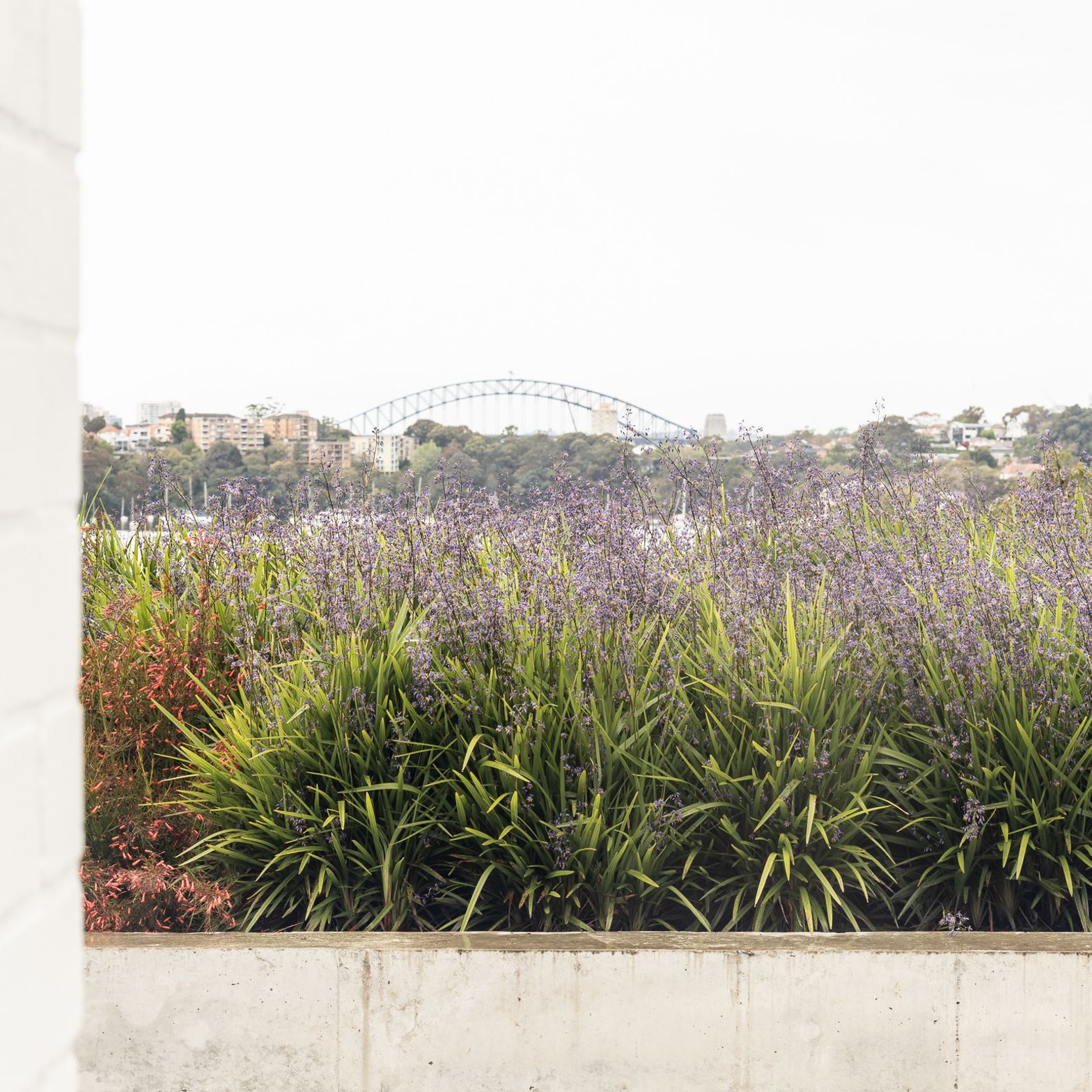 2022-10-12Bay-HouseLoungevilleCastlepeake-Architects2802048px.jpg