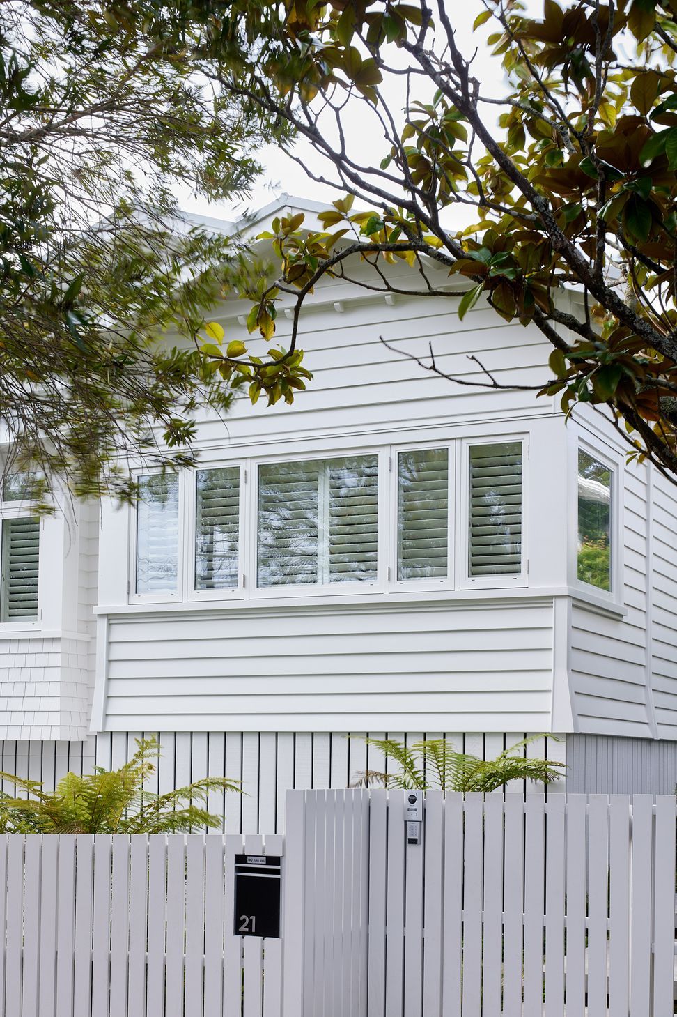 Grey Lynn