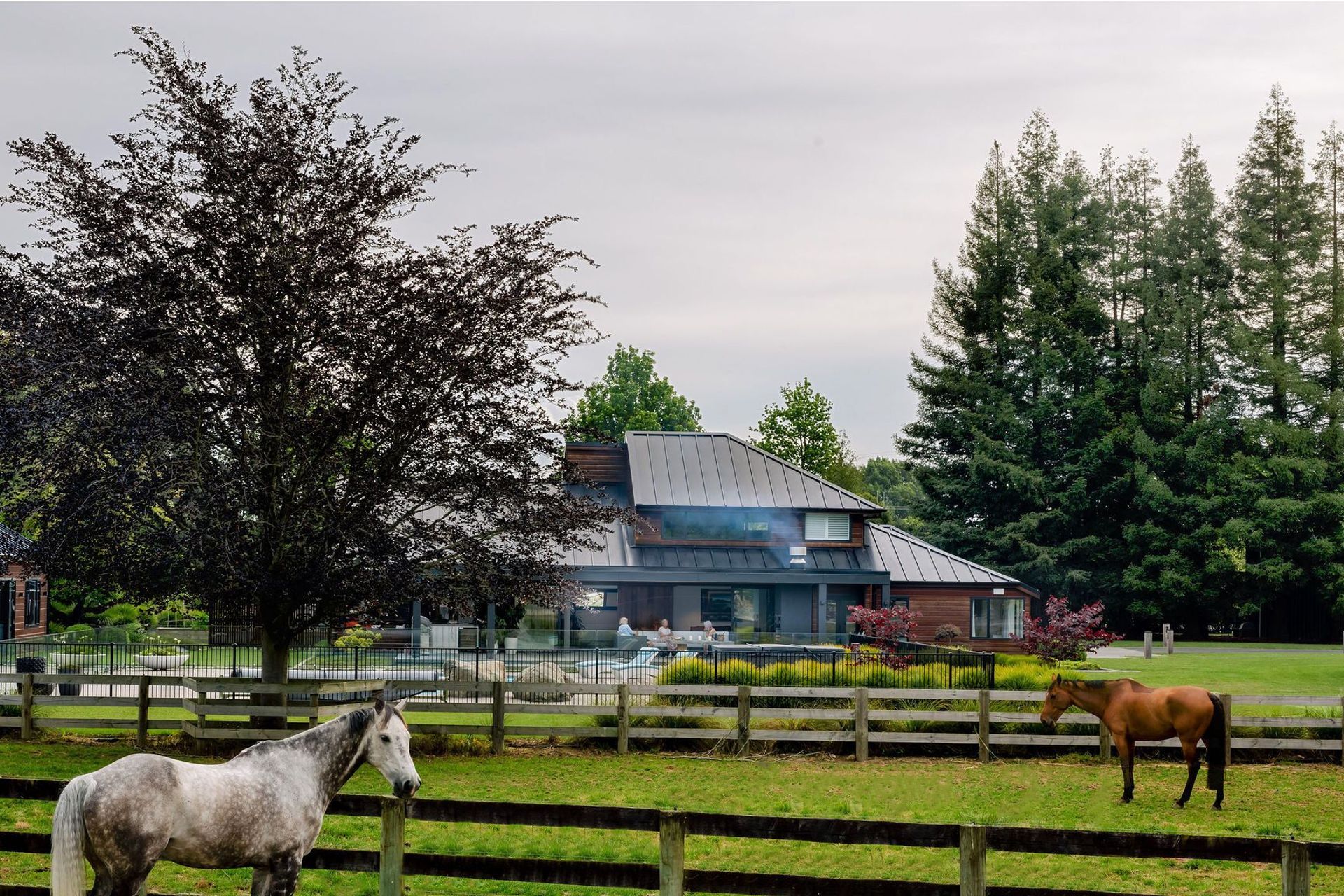 21LAD-zigzagaaron-radfordAOP9272-EDIT.jpg