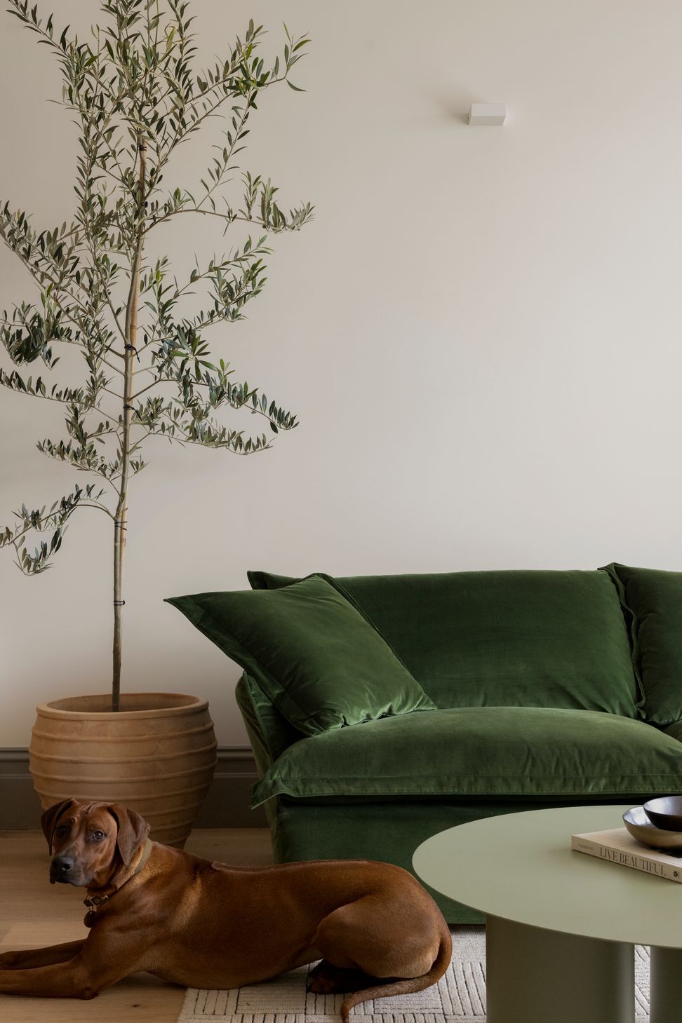 Bonny-House-009-v2.jpg