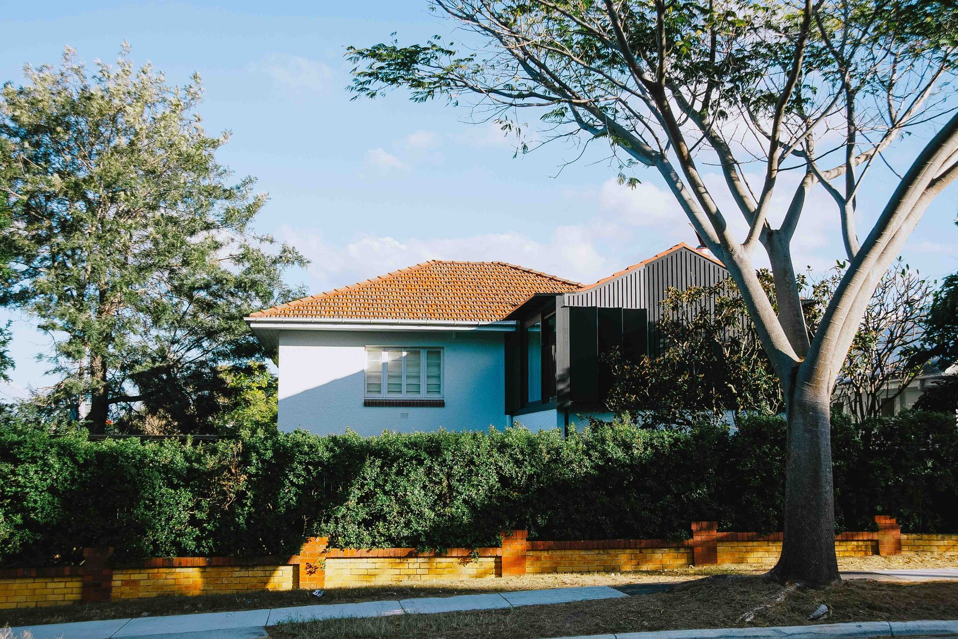 Clayfield4.jpg