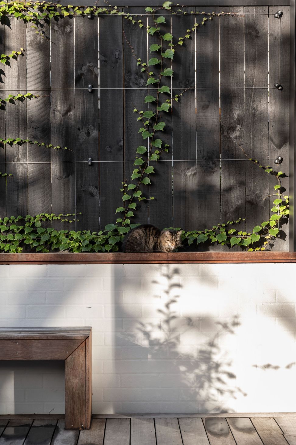 Ponsonby Heritage 