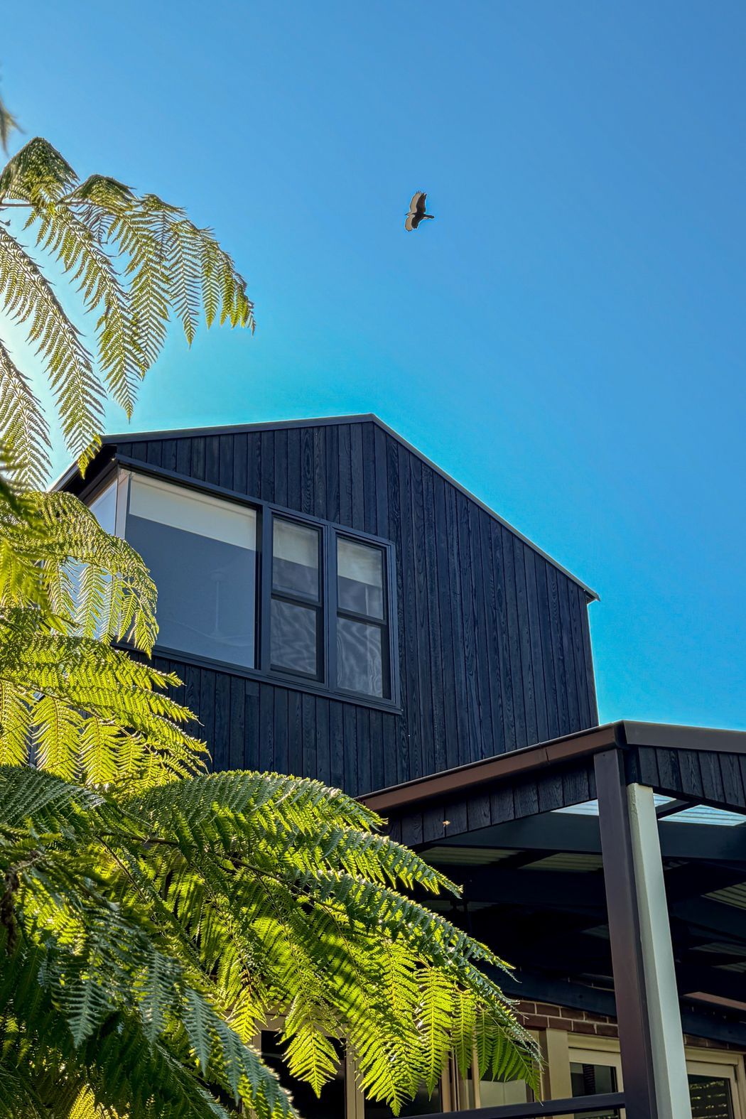 Frangipani-House-1-ap-compressed.jpg
