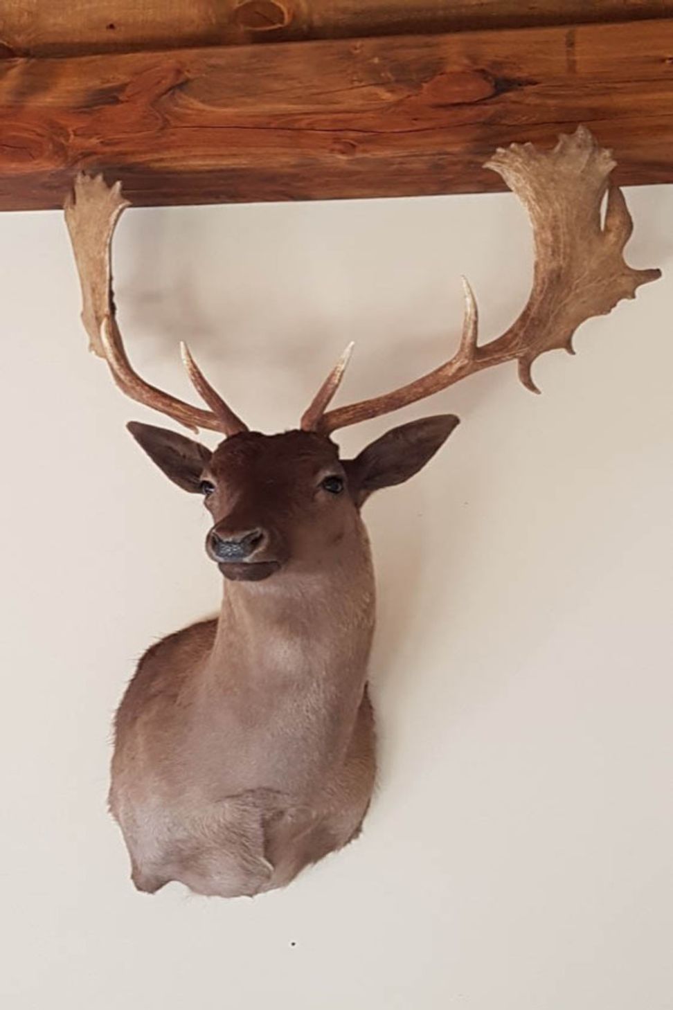 Hunting-Guides-Post-Beam-08.jpg