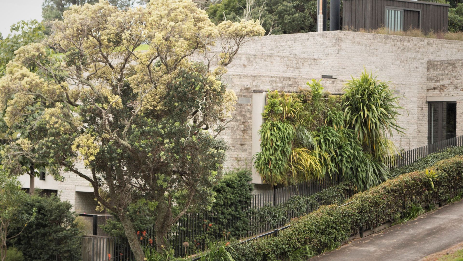 Parnell Home Green Wall banner