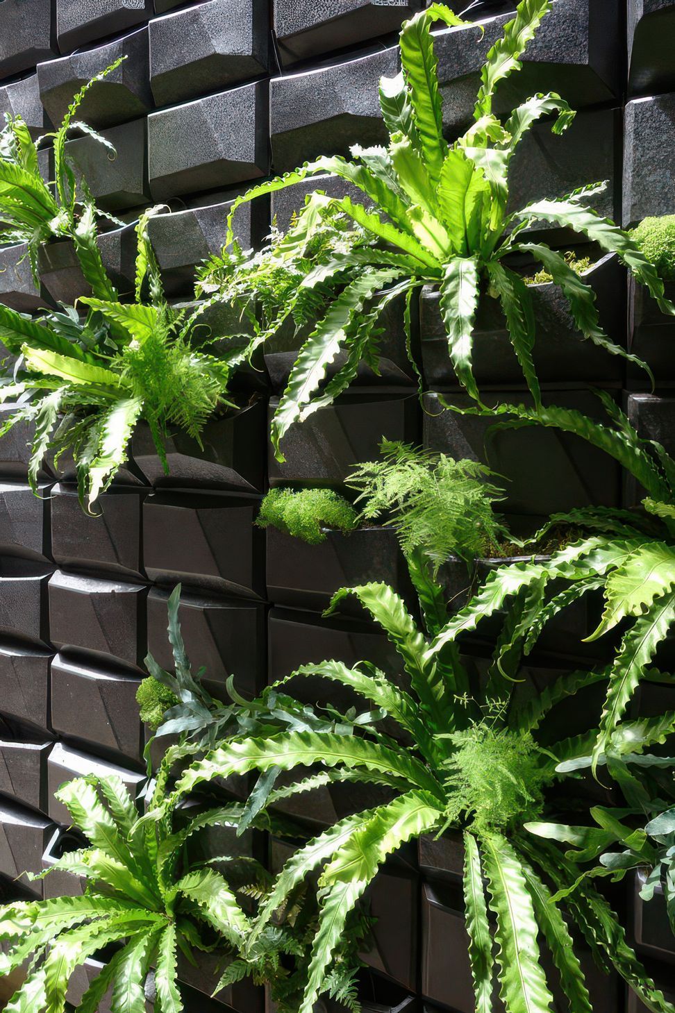 PlantedVert-640x960-gigapixel-standard-v2-4x.jpg