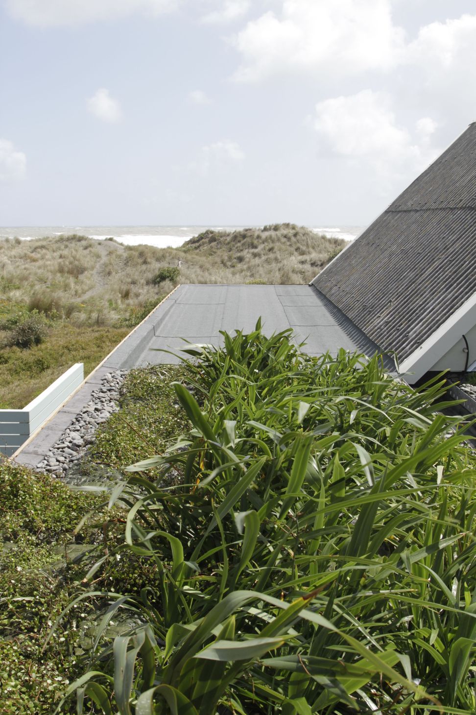 Port Waikato Home Green Roof