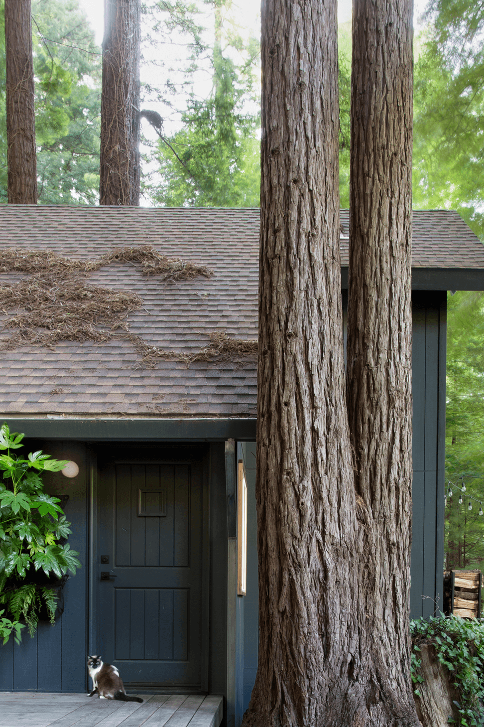StudioPLOW-CazCabin-SuzannaScottPhoto-16.png