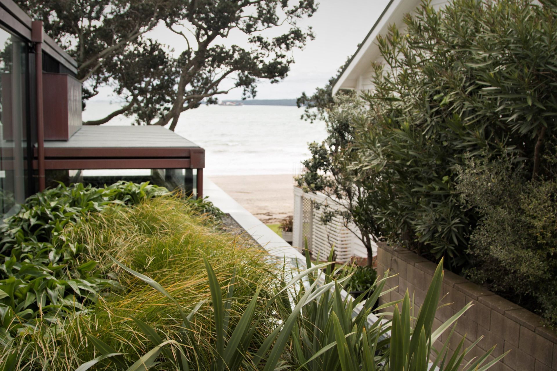 Takapuna Green Roof
