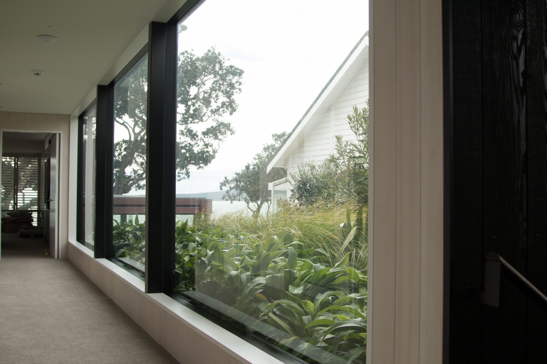 Takapuna Green Roof