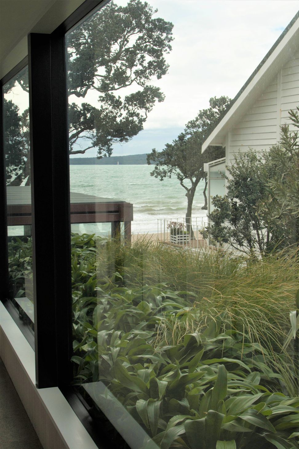 Takapuna Green Roof