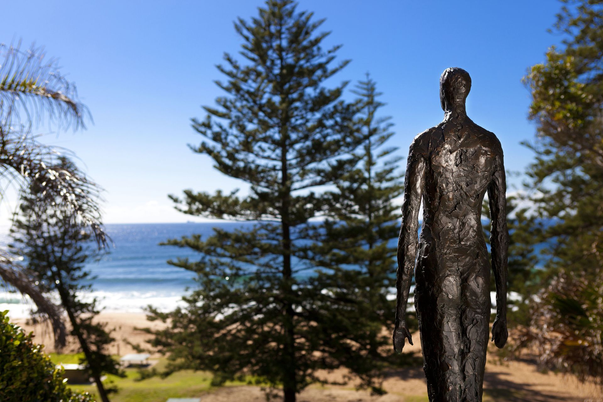 Whale Beach