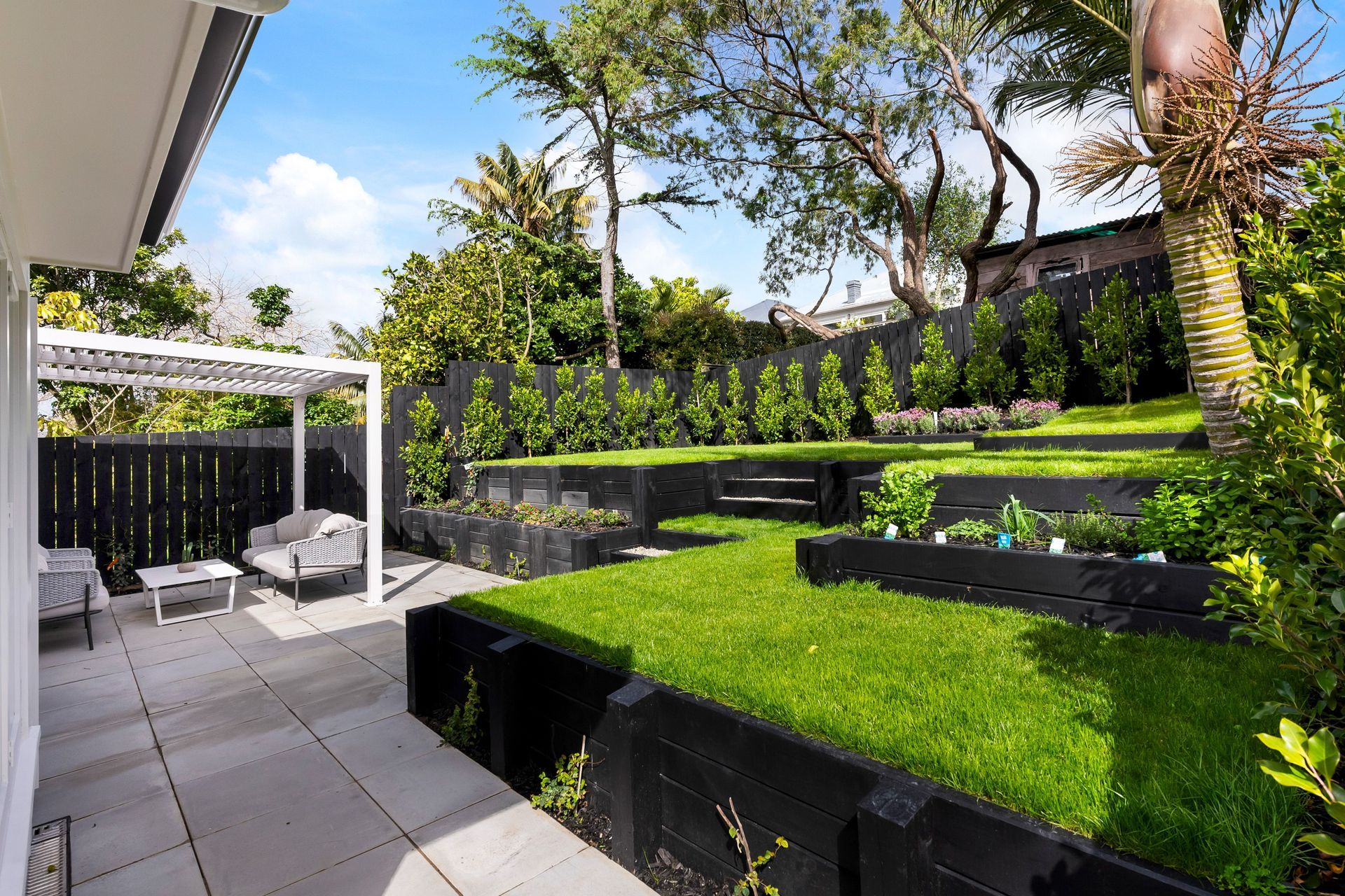 backyard-v2.jpg