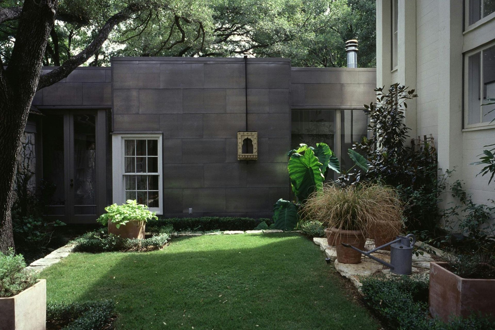 backyard-v3.jpg