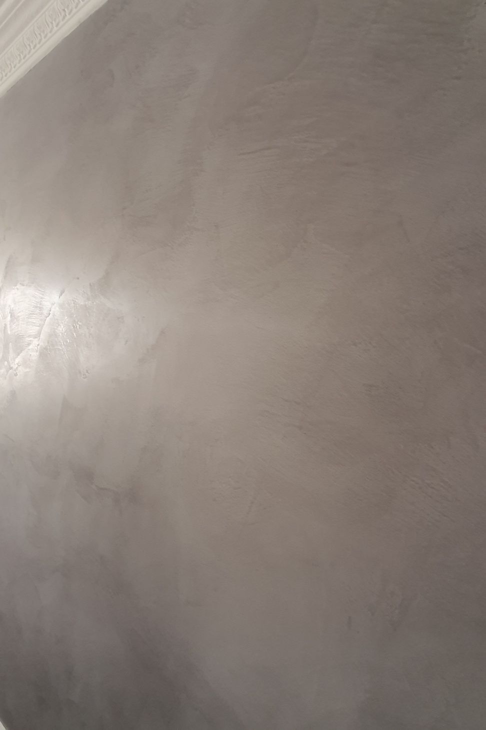 Venetian Plaster - Feature Wall