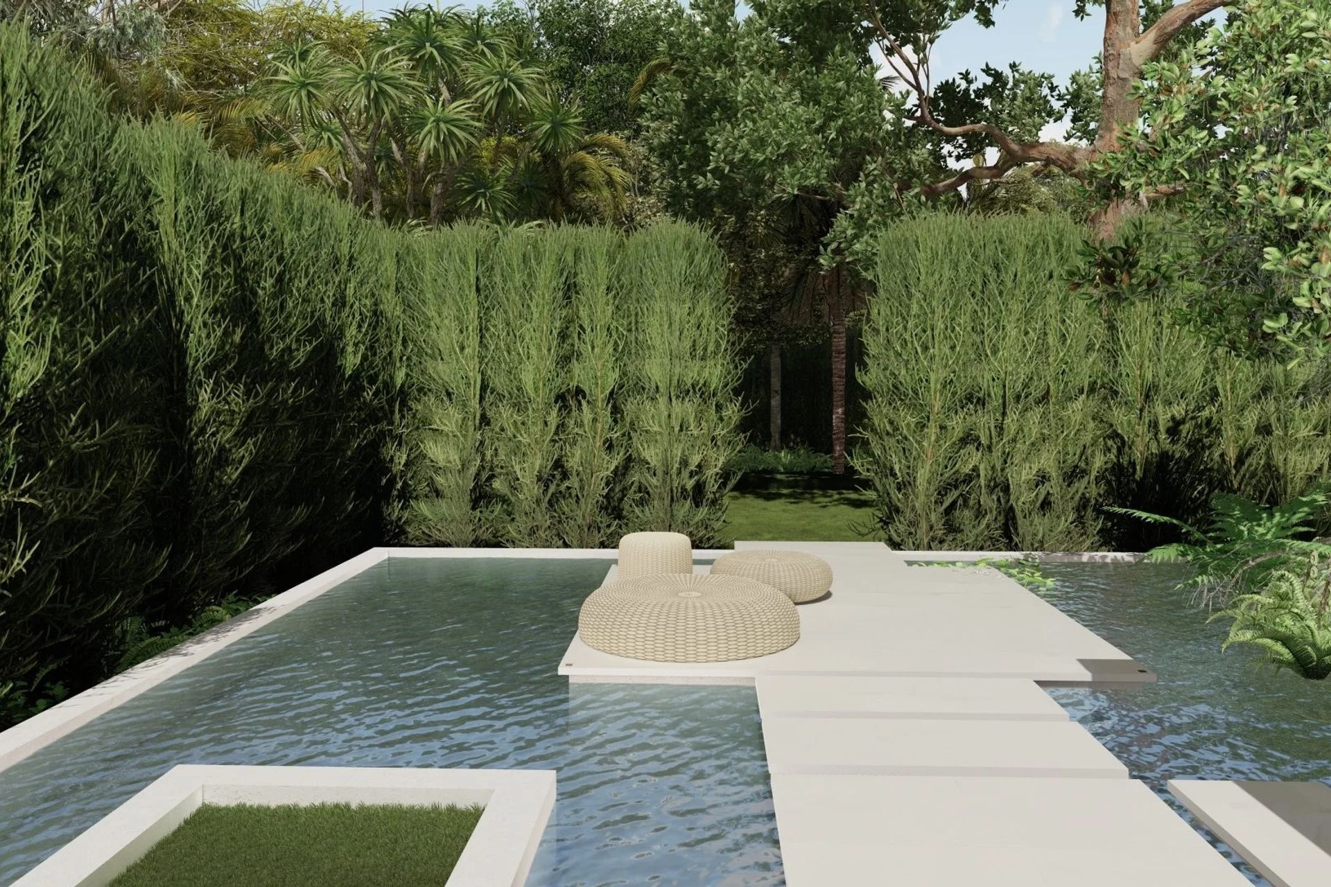 imgi2819MANGROVEGARDEN.jpg
