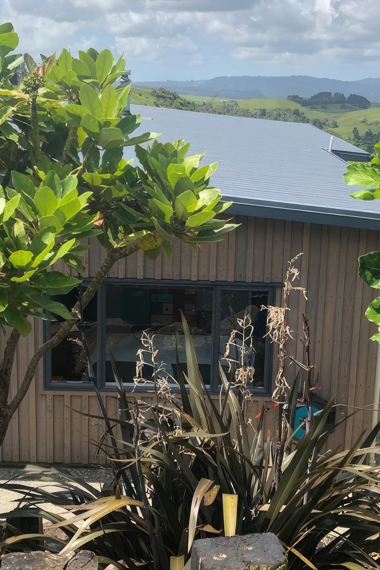 uphunua1-1030x618-fix-standard-scale-200x.jpg