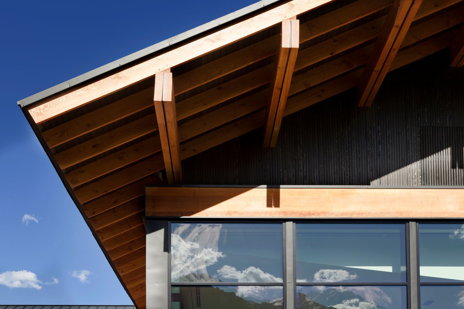 RoofDetailMG8700.jpg
