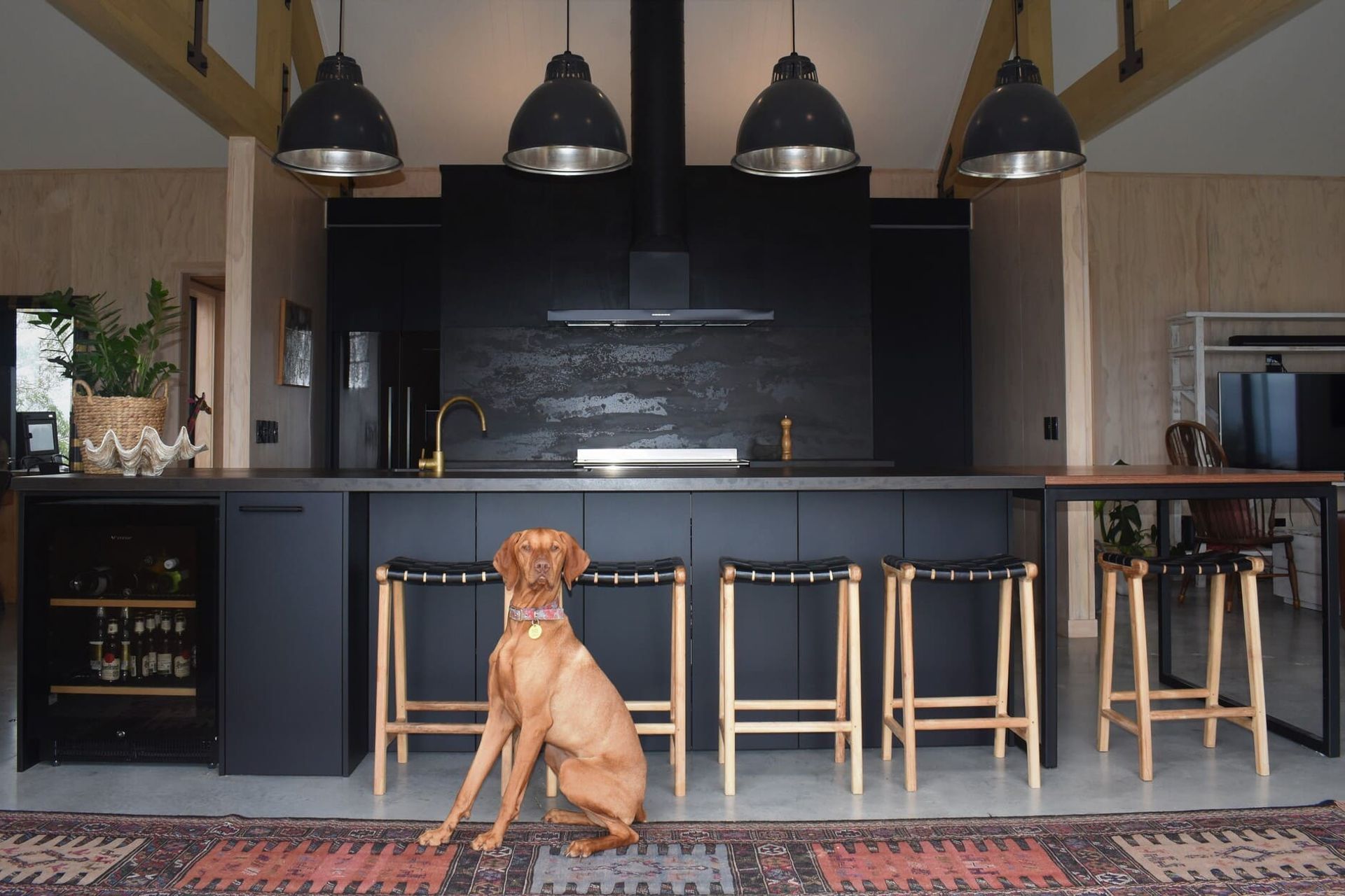 Bruno's Kitchen