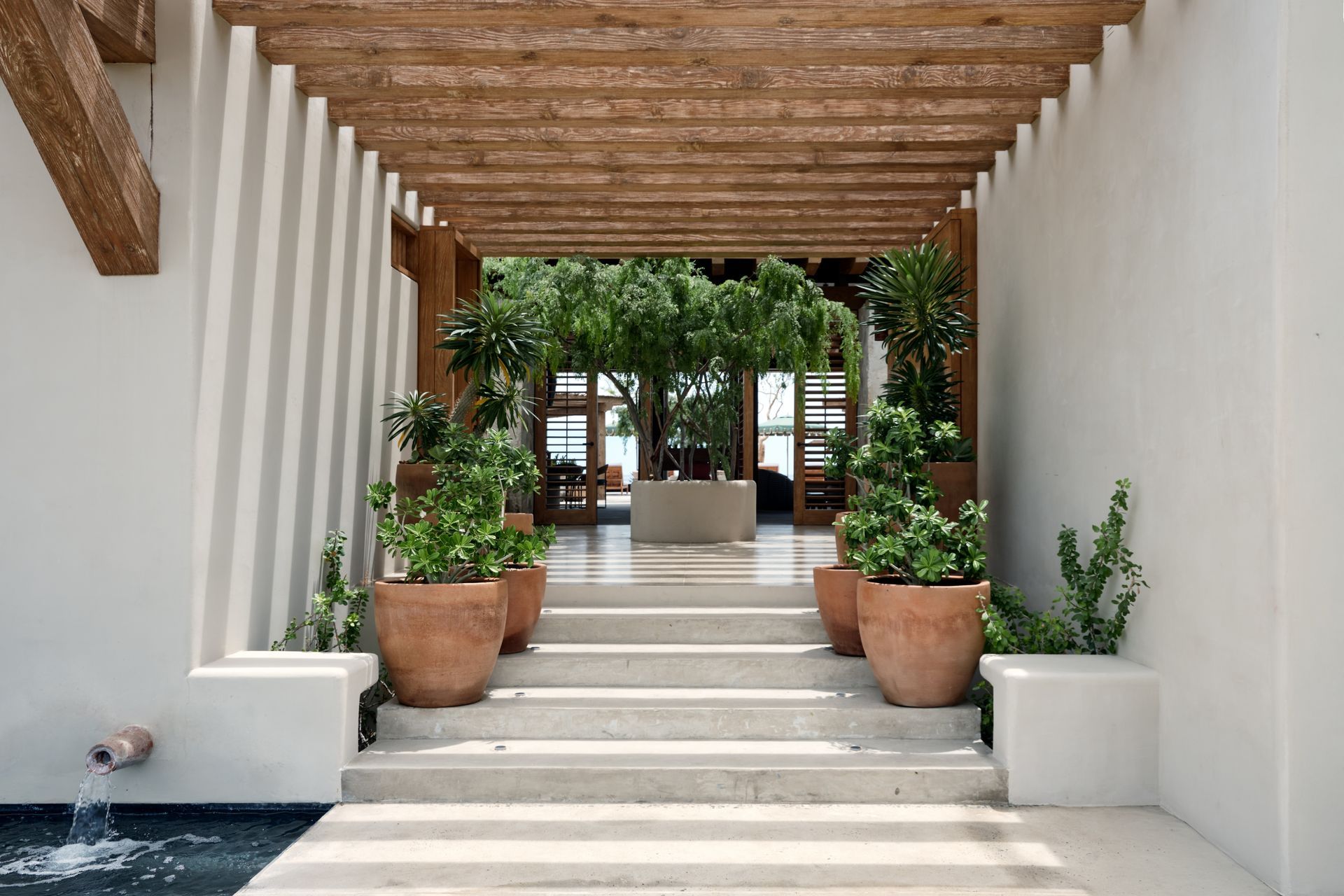 LDLA-FAVORITA8947-1-ap-compressed.jpg