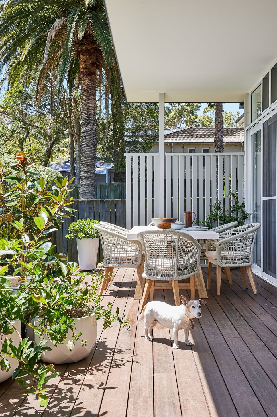 Balgowlah Residence
