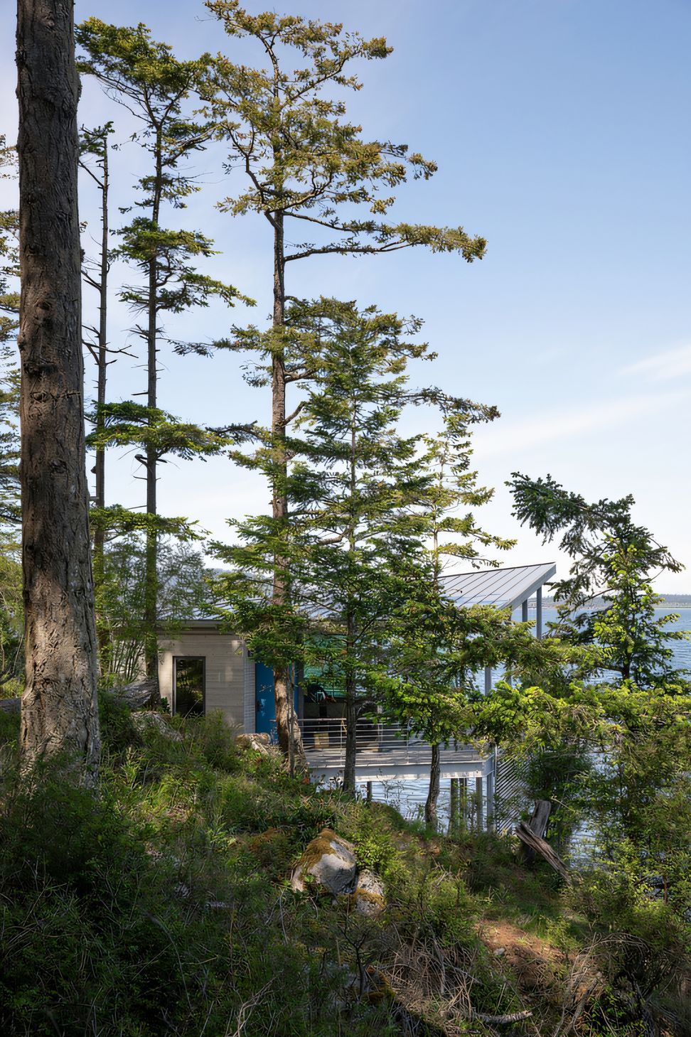 PBW-Boathouse-003feature-upscaled-by-StabilityAI.jpg