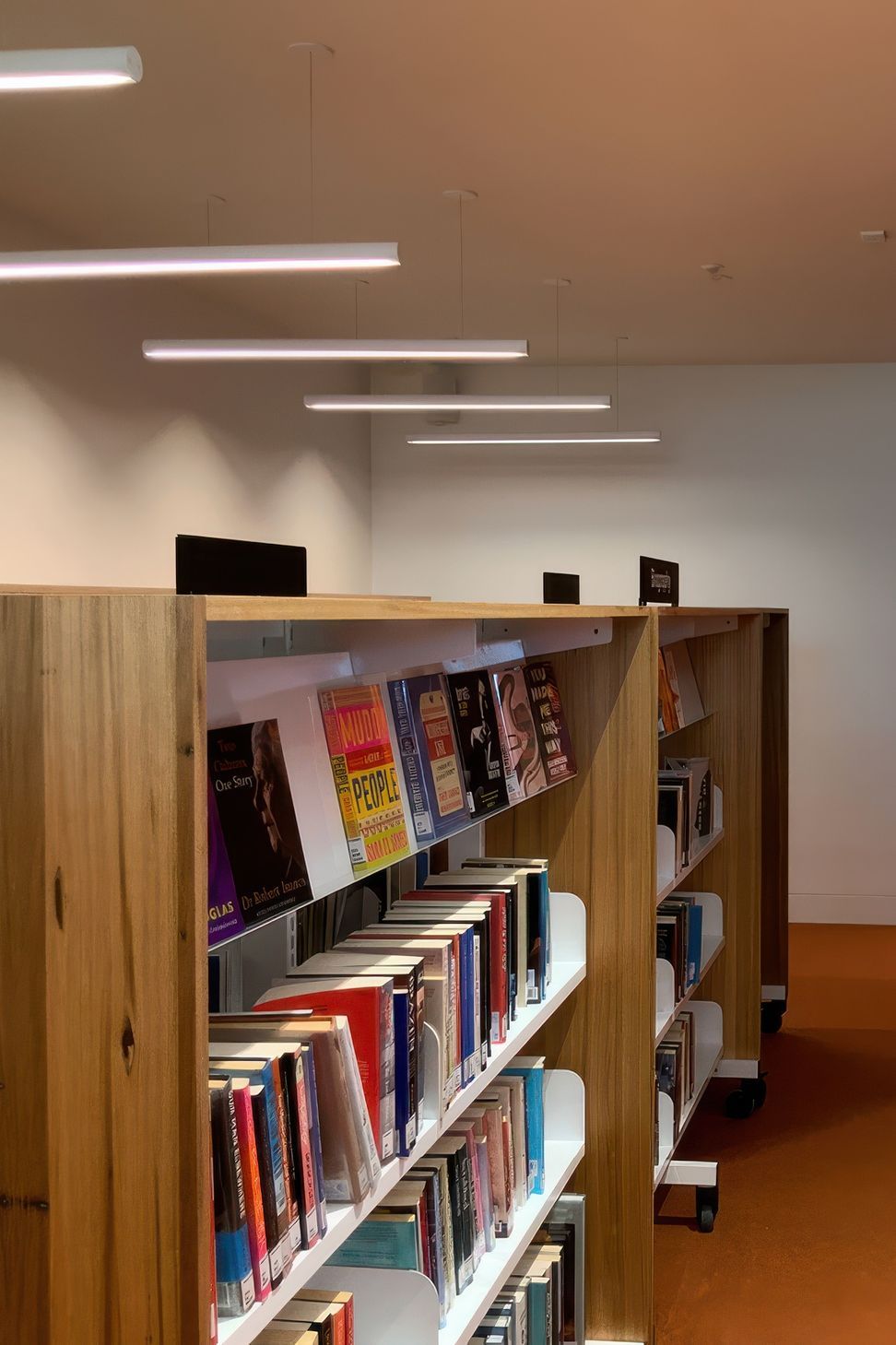 14676-Masson-Sept-eDM-Drysdale-LibraryWEBSITE2-2-gigapixel-standard-v2-2x.jpeg