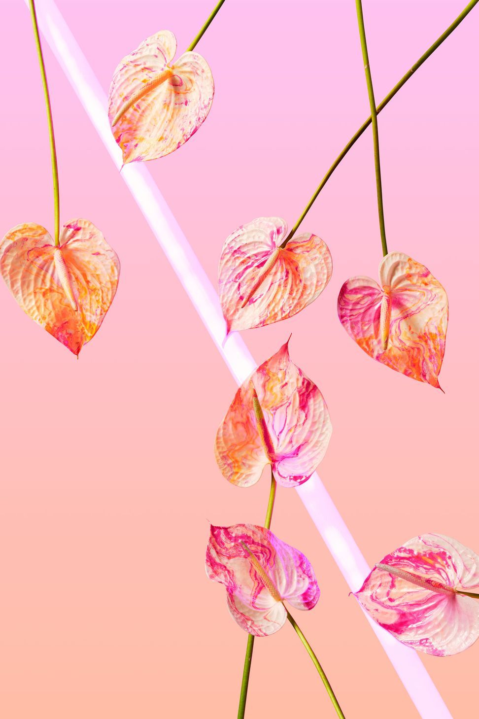 Shop: Twostyle X Acid Flwrs