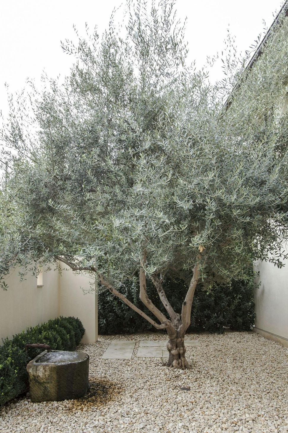 0805-Tarryhill-Matthew-Williams-V-Ext-Courtyard.jpg