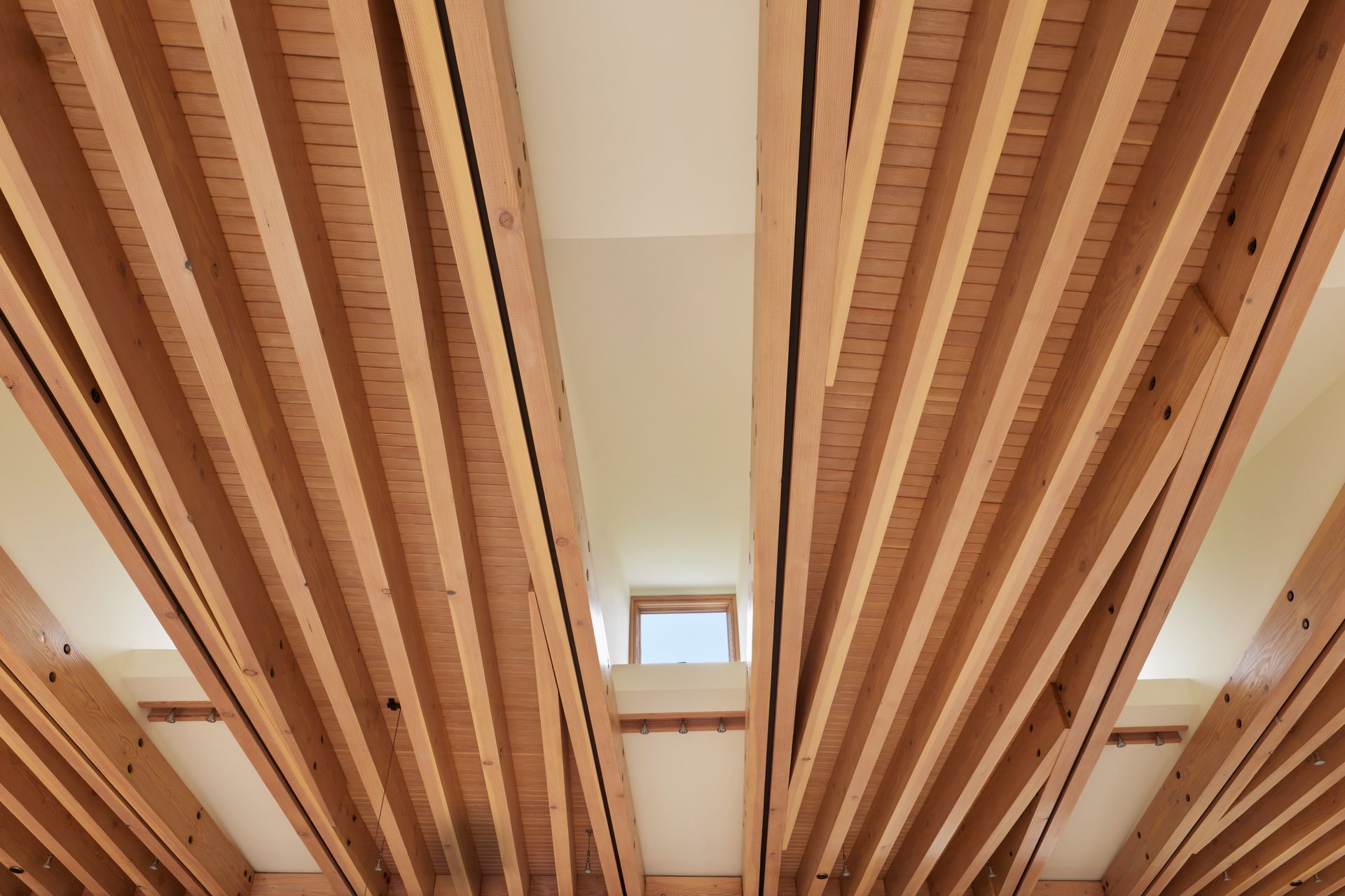 10Bainbridge-ap-compressed-v2.jpg