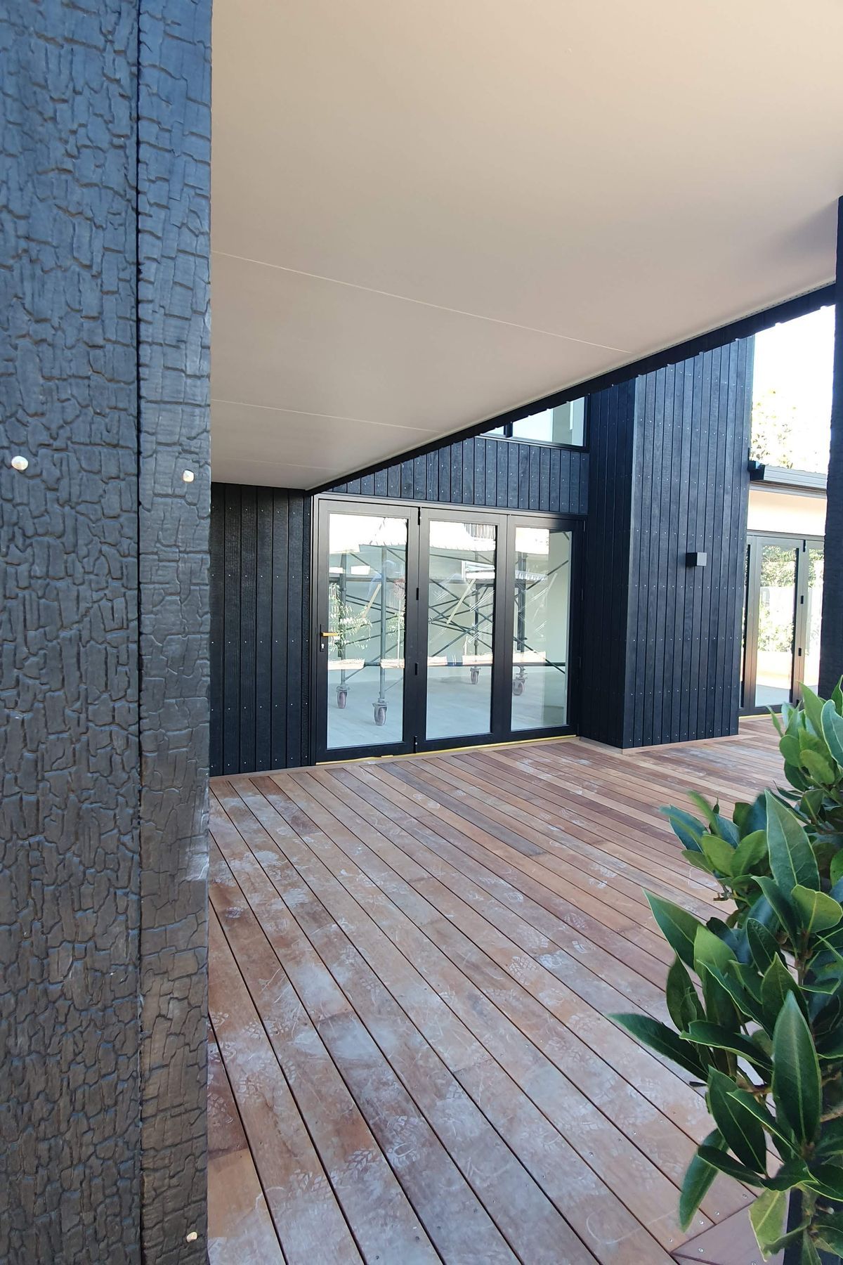 Charred Accoya