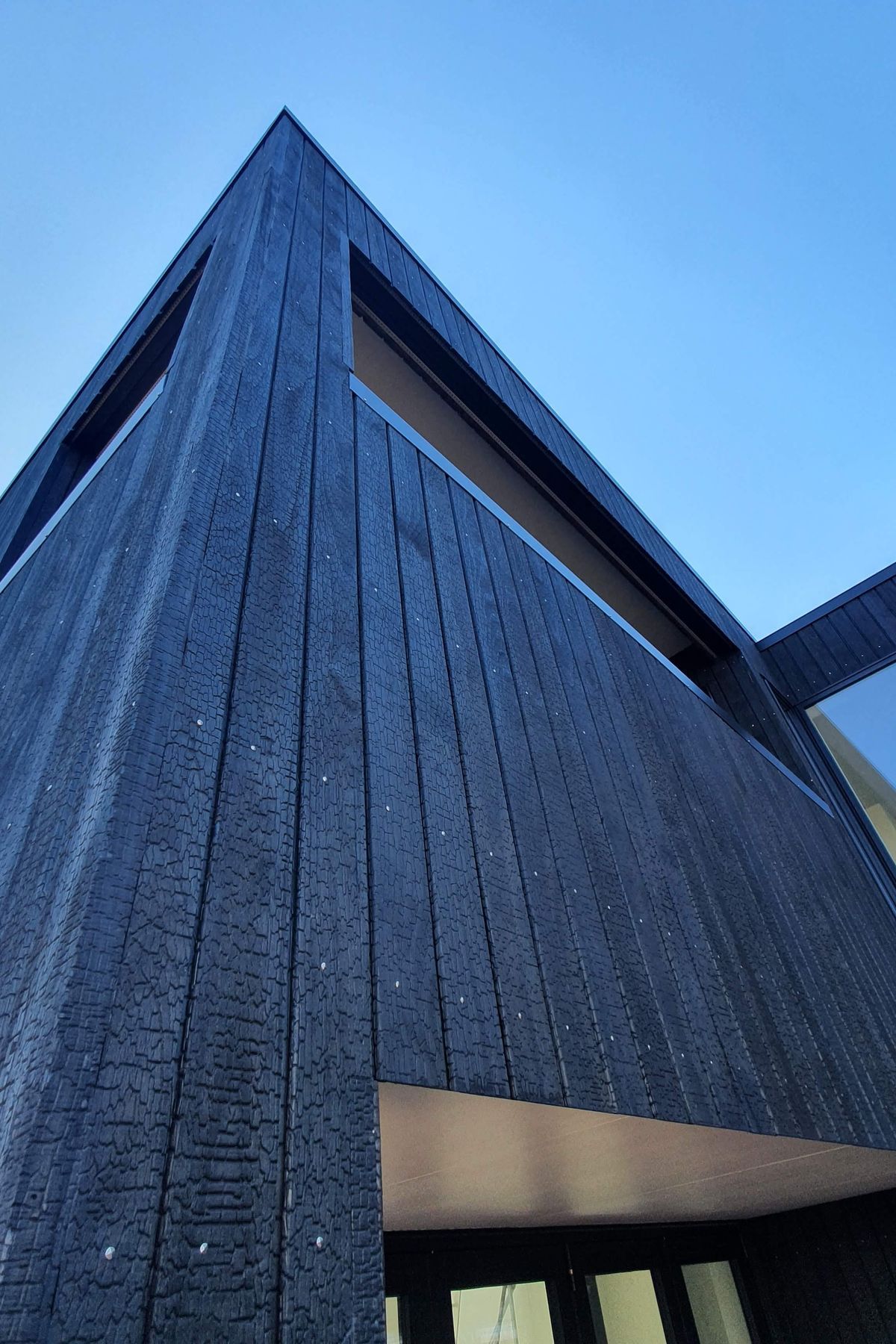 Charred Accoya
