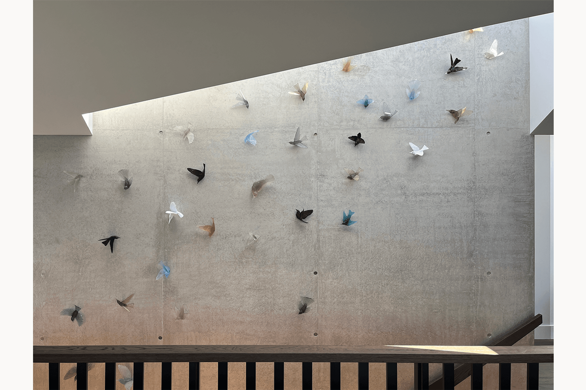 Bird-With-Archipro-border.png