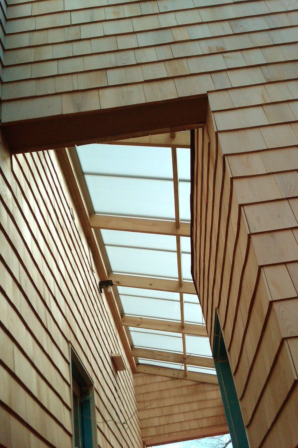 IMG01319-20110315-1323.jpg