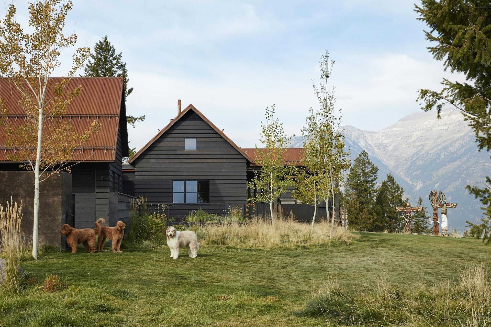 RDTeton21945F2022-10-27-205150.jpg