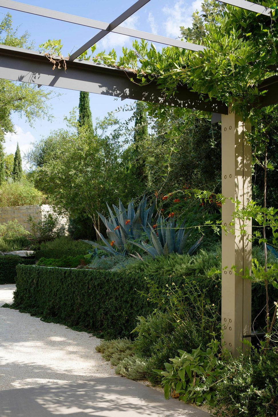 Tarryhill-Andrew-Pogue-V-Ext-Trellis-Plantings.jpg