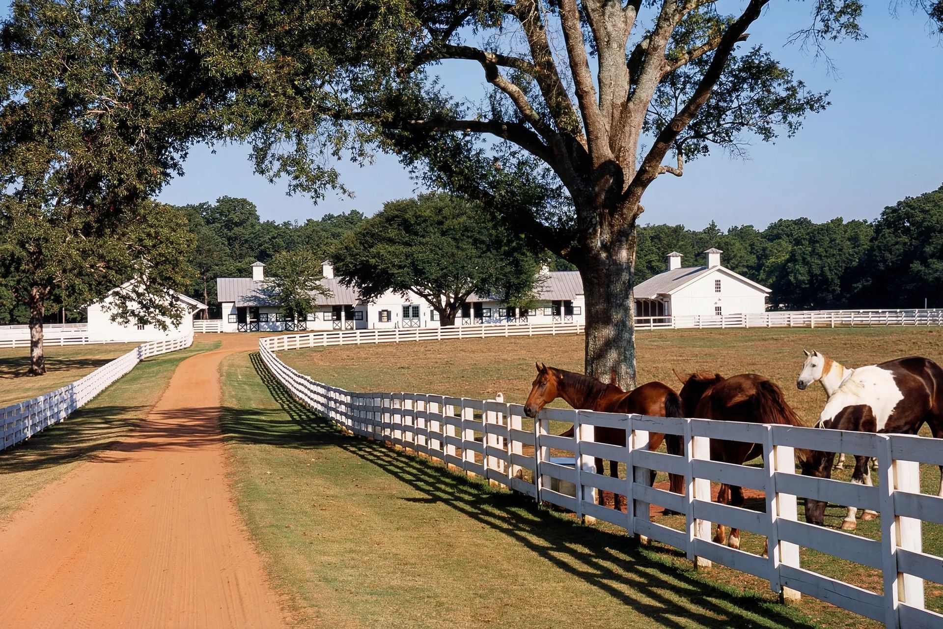 working-pecan-farm-equestrian-center-stables-paddocks-white-fencing-estate-master-plan-architect-ap-compressed.jpg