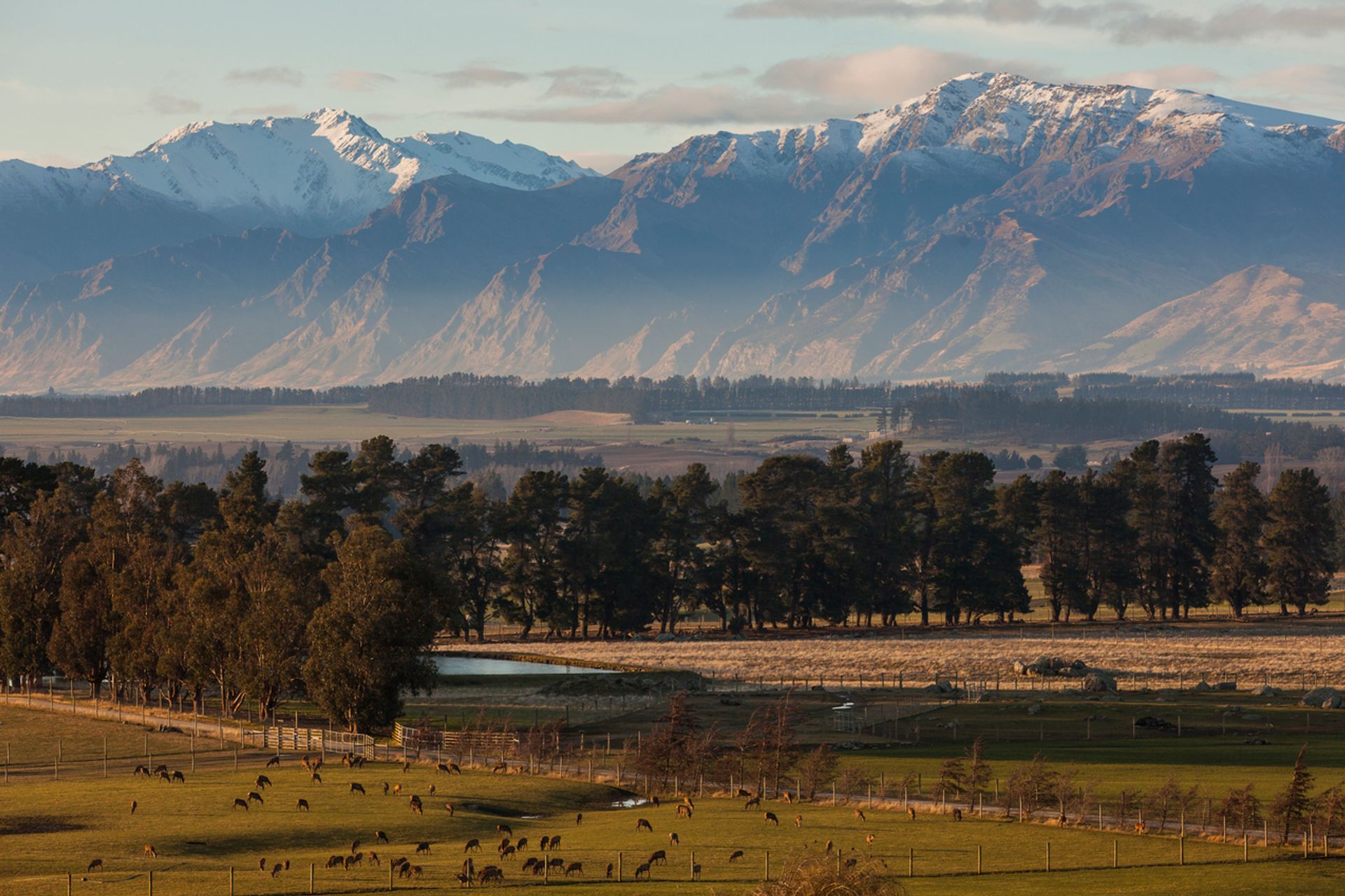 Criffel Station, Wanaka