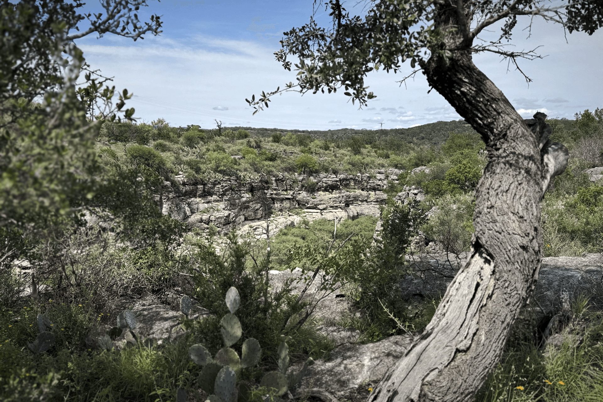 Mark-Richardson-Architects-Canyon-Club-Lake-Travis-Austin-Spicewood-Texas-22.png