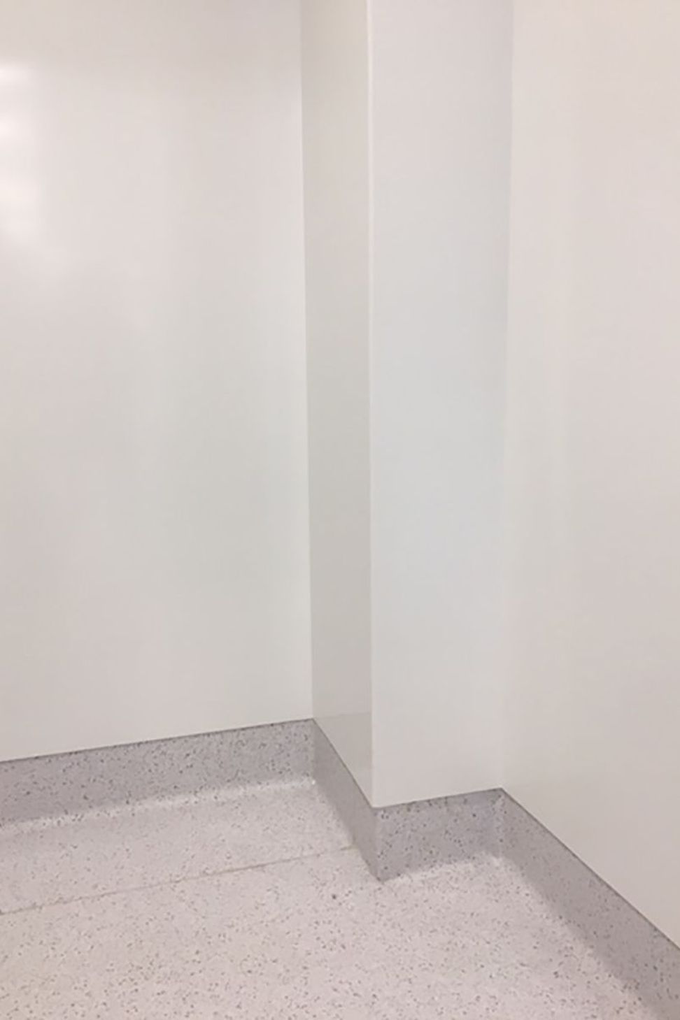 Auckland Hospital Endoscopy Suite